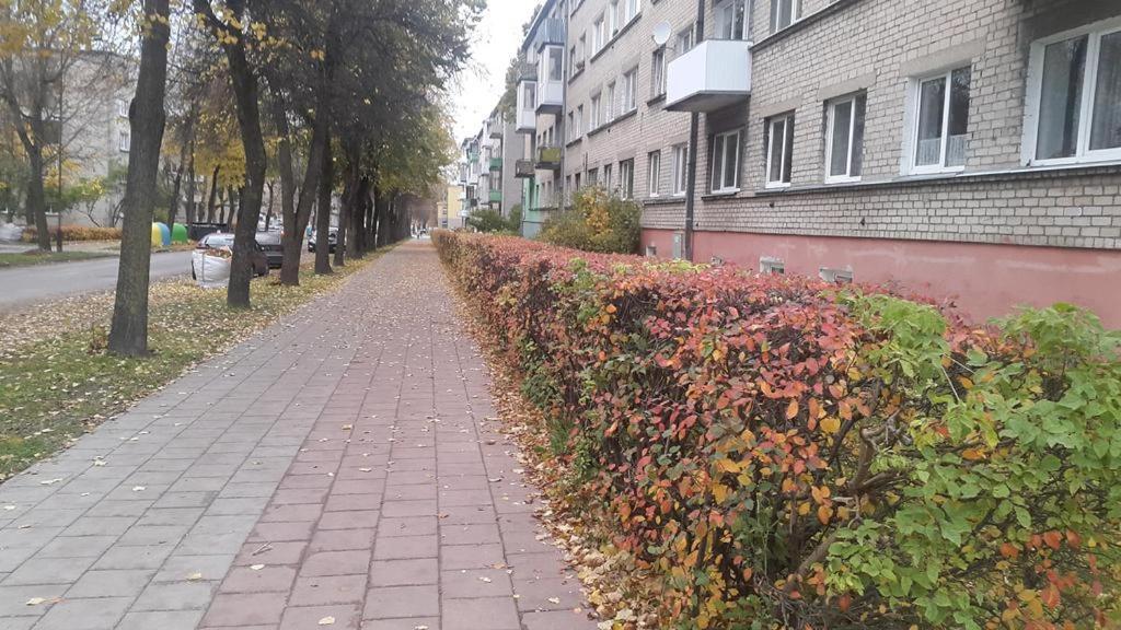Apartment For You Šiauliai Екстериор снимка